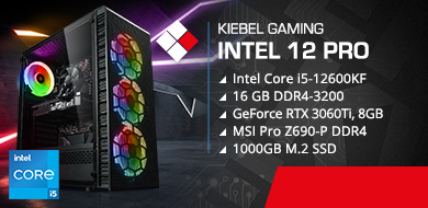 Gamer-PC Intel 12 Pro