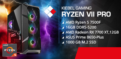 Gamer-PC Elite Ryzen VII pro
