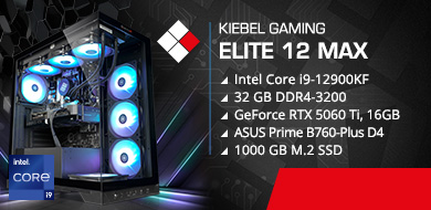 Gamer-PC Elite 12 max