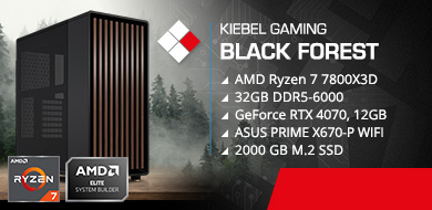 Gamer-PC Black Forest Extreme