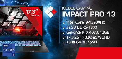 Gaming Laptop Impact Pro 13 - 4080 (17.3)