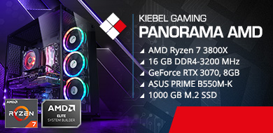 Gamer-PC Panorama AMD