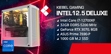 Gamer-PC Intel 12.5 Deluxe (D5)